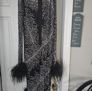Sheer party bodycon feather dress